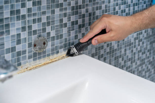Best Residential Mold Remediation in Upton, WY